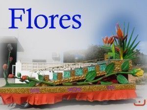 Flores
